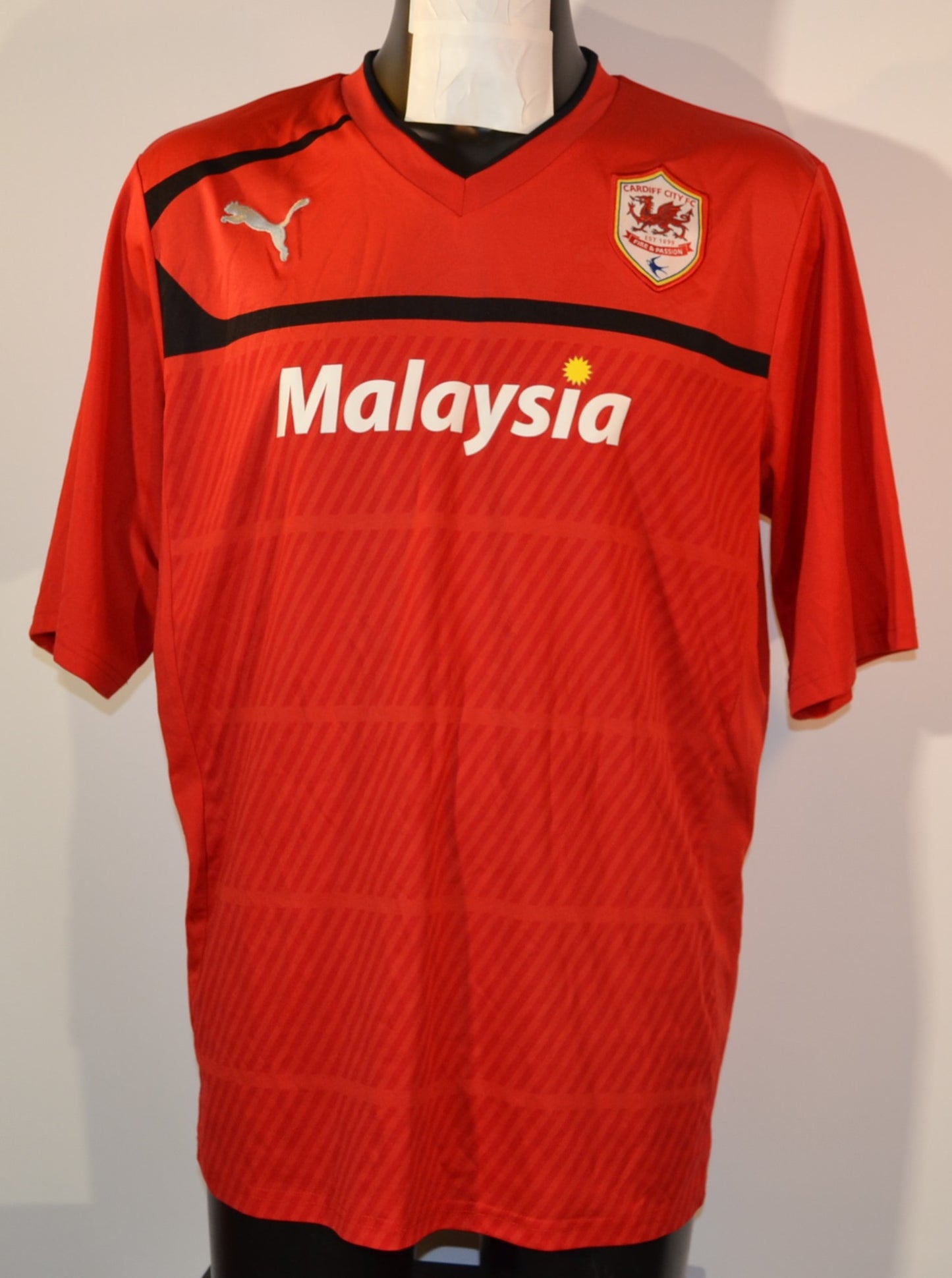 Cardiff City - 2012/13